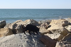 Theo aan zee