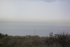 Smog uit LA