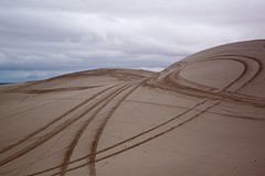 Racesporen