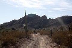 Rijden tussen de cactussen