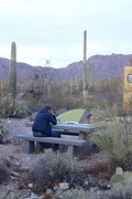 Kamperen tussen de cactussen