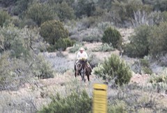 Cowboy