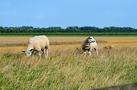 Door de ogen van een toerist