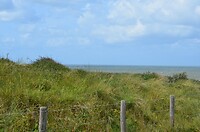 DSC_0461