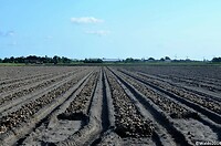 Kop van Noord-Holland