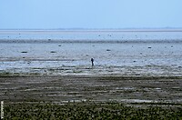 Kop van Noord-Holland