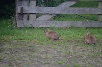 Volharden en gewoon doen