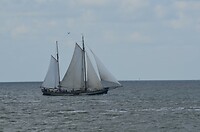 Volksaard