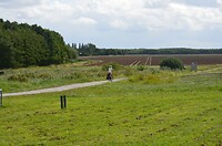 Anders en toch hetzelfde