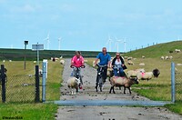 Klein maar toch ruim