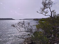 Uitzicht over de st Jorisbaai