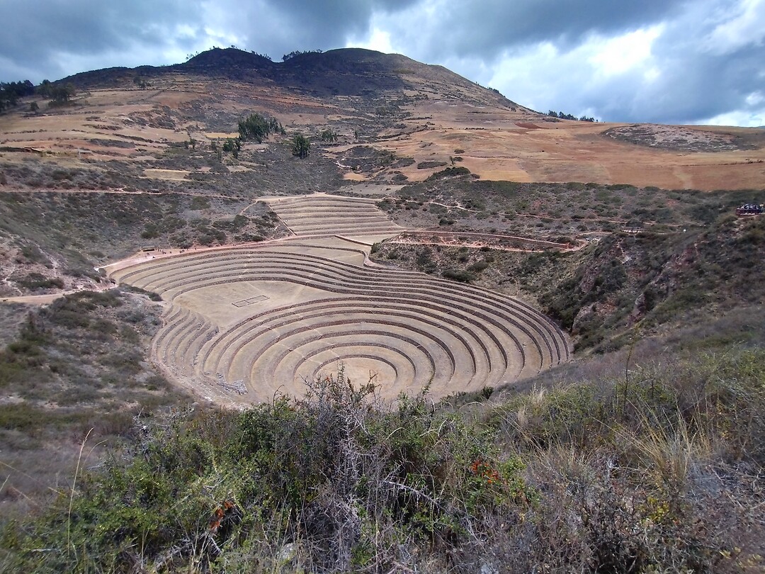 Moray