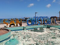 DSC_2100