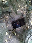 Uitgang lava tunnel