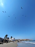 Strand Mancora met fregat vogels