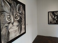 Museum moderne kunst