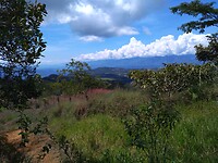 Wandeling