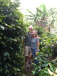 Koffie plantage