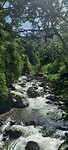 Rivier wandeling Jardín