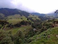 Valle de Cocora