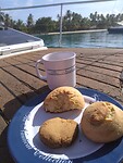 Zelfgemaakte scones en koekjes