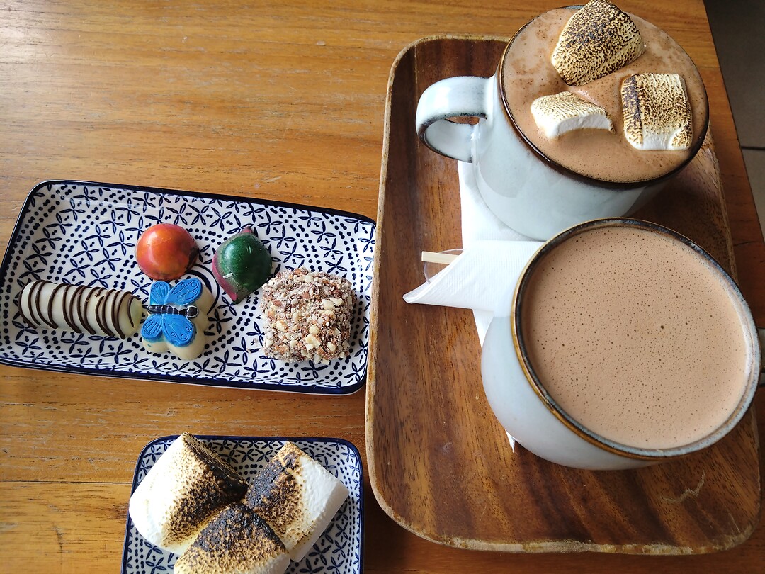 De lekkerste chocolade melk