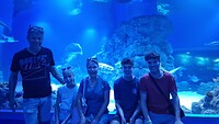 Het aquarium van Cairns