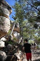 De koala bergroute