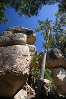 Koala bergroute