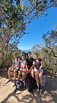 Koalaroute op Magnetic Island