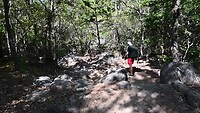 Koala wandelroute op Magnetic Island