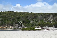 Whitehaven Beach