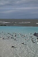 Lagoon @ Yeppoon