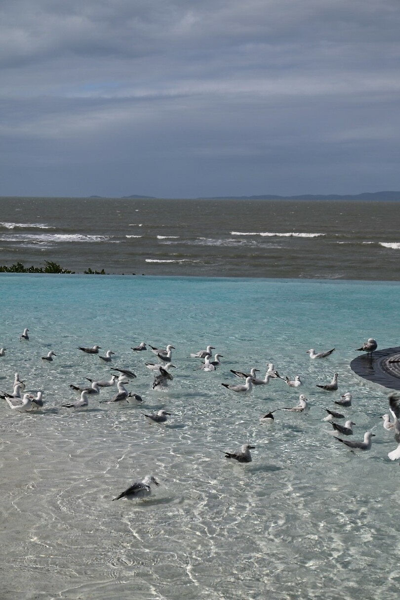 Lagoon @ Yeppoon