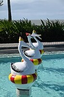 Lagoon