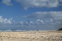 Fraser Island East-Coast