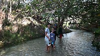 Eli Creek