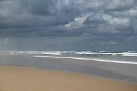 Fraser Island East Coast