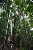 Wanggoolba Creek