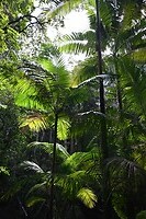 Wanggoolba Creek