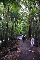 Wanggoolba Creek