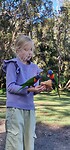 Vogels voeren