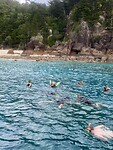 Snorkelen bij Hook Island