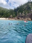 Snorkelen bij Hook Island