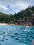 Snorkelen bij Hook Island