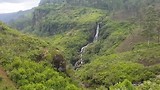 Wandelen door de theeplantages in Nuwara Eliya
