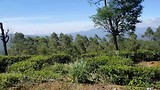 Treinrit van Nuwara Eliya naar Ella