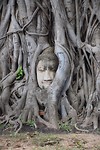 Ayutthaya