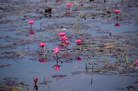 Het Inle Lake