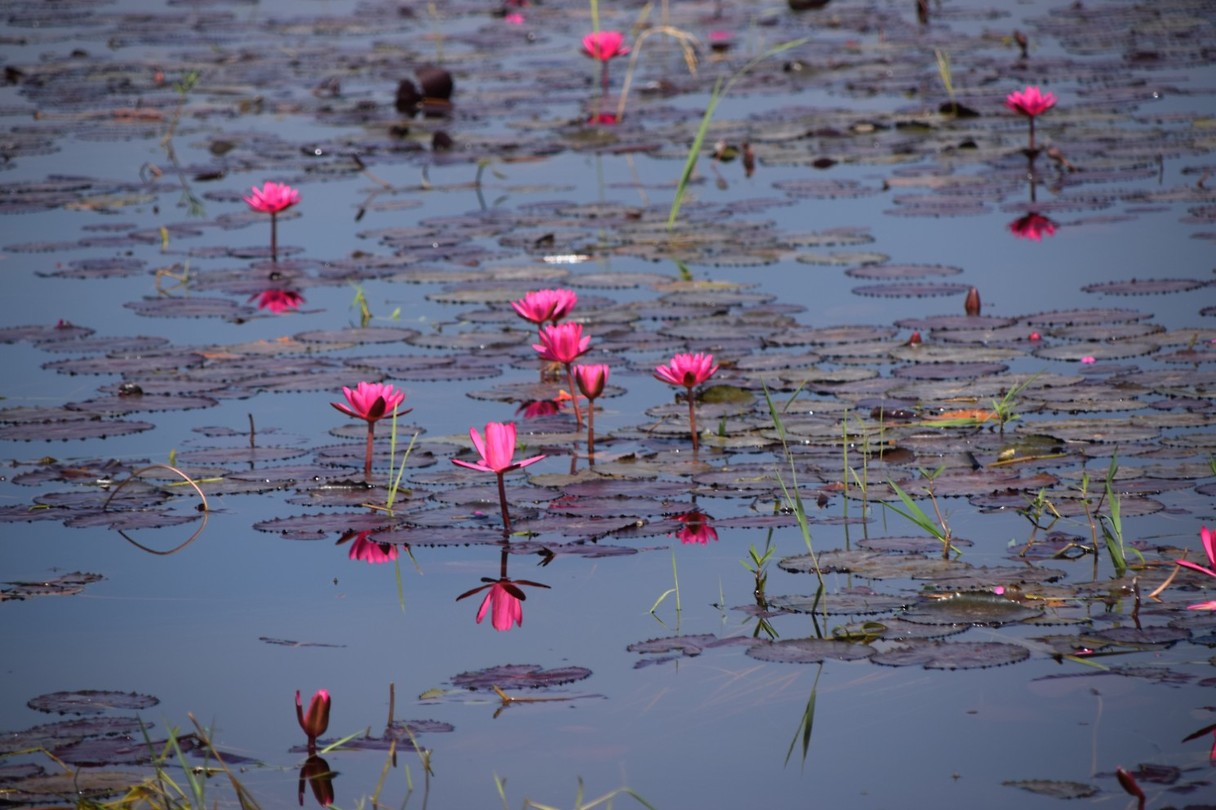 Het Inle Lake